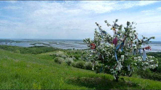 Каракулино смотреть онлайн