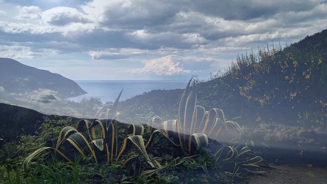 Euro trip 2019. Фрагменты путешествия автостопом по Европе. Ночевали в основном в палатке. Часть 1 смотреть онлайн