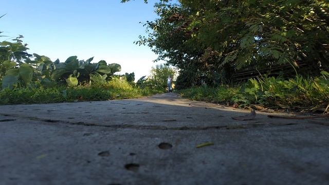 Дачное лето ) смотреть онлайн