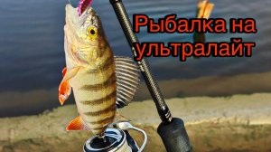 ВЕСЕННЯЯ РЫБАЛКА НА РЕКЕ | ЛОВЛЯ ОКУНЯ