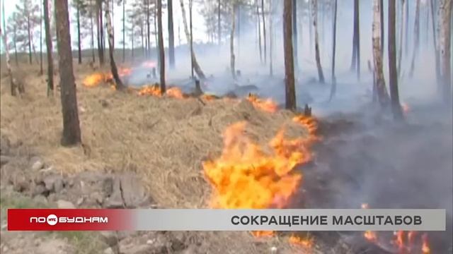 В 6 районах Иркутской области прогнозируется чрезвычайная пожароопасность лесов смотреть онлайн