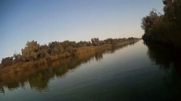 Pointer 65 DD от Lucky Craft