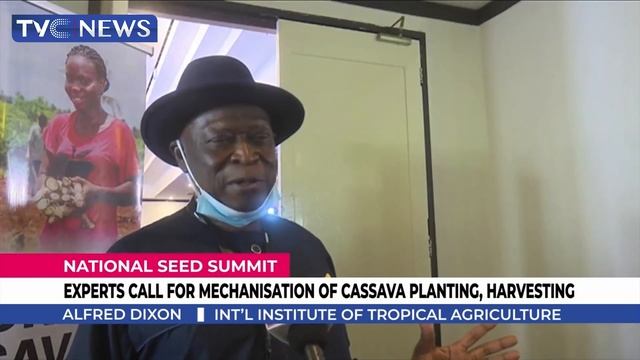 Experts Call for Mechanisation of Cassava Planting, Harvesting смотреть онлайн