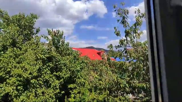 Любовь Парвицкая в прямом эфире переехали в другую гостиницу. (Геленджик) смотреть онлайн