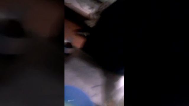 Безумный кулинар смотреть онлайн