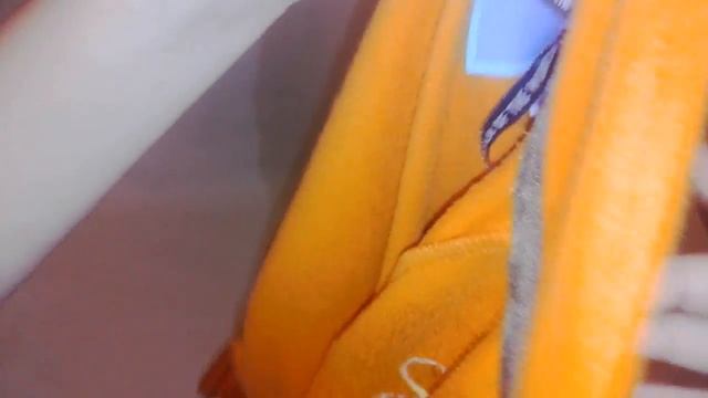 Конный спорт:Моя конная омуниция смотреть онлайн