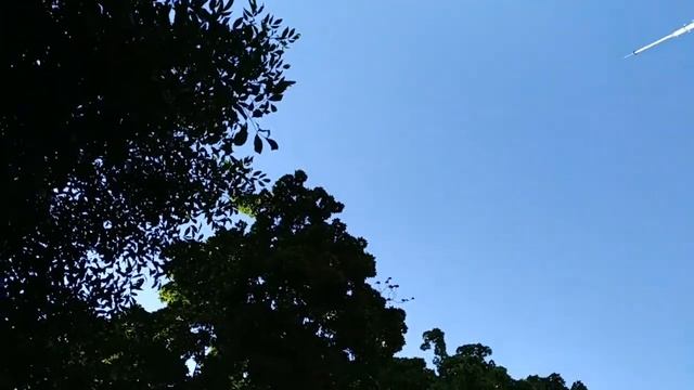 Timelapse nature/таймлапс природа смотреть онлайн