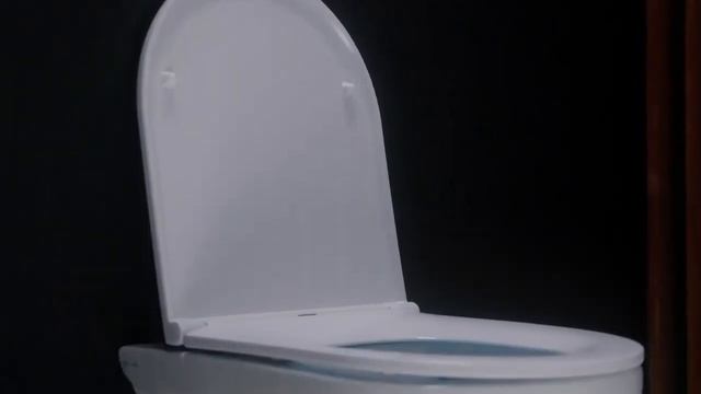 Унитаз подвесной AM.PM Gem FlashClean смотреть онлайн