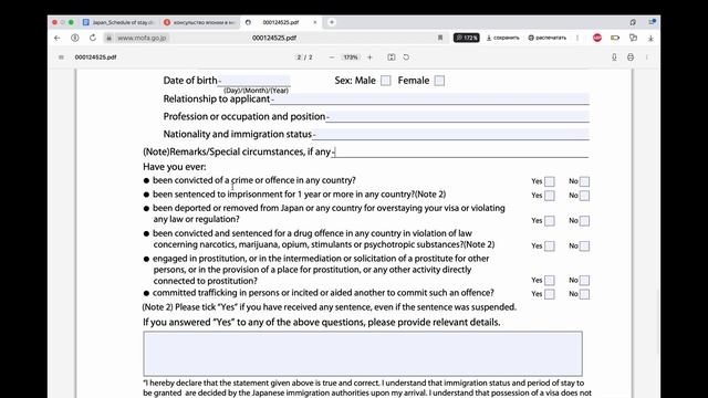 ВИЗА В ЯПОНИЮ: Как заполнить анкету на визу // Составляем план поездки // Туристическая виза смотреть онлайн