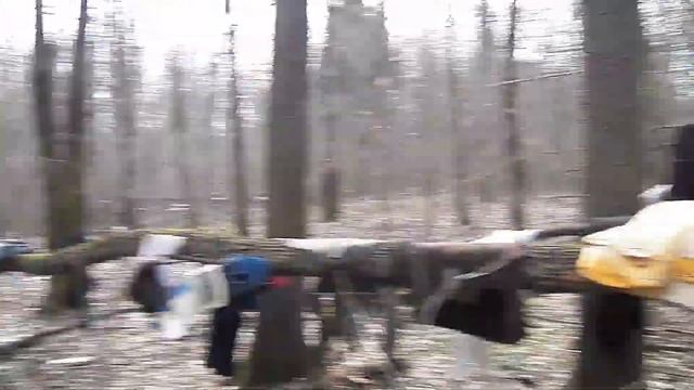 кемпинг на границе Красногорск - Москва. смотреть онлайн