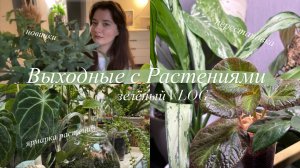 Мои дни с Растениями || пересадка, ярмарка растений, обзор новинок, перестановка | Зелёный VLOG
