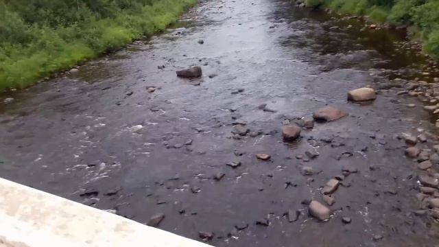 Кемпинг на горной реке Baptism смотреть онлайн