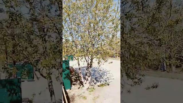 сижу где упала крыша😅😅😅 смотреть онлайн