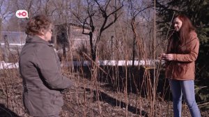 «Ты со своим «шансом» можешь не приезжать»