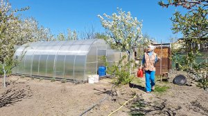 Переезд на юг. А где он, в огороде?