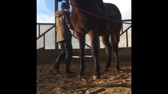 НОВИЧОК VS ПРОФИ КОННИК+ неудачные дубли 😝🐎 смотреть онлайн