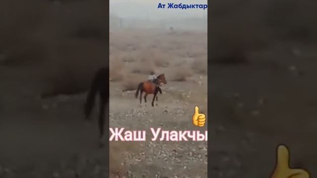 8 мая 2022 г. смотреть онлайн