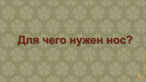 Мультфильм  «Для чего нужен нос?»