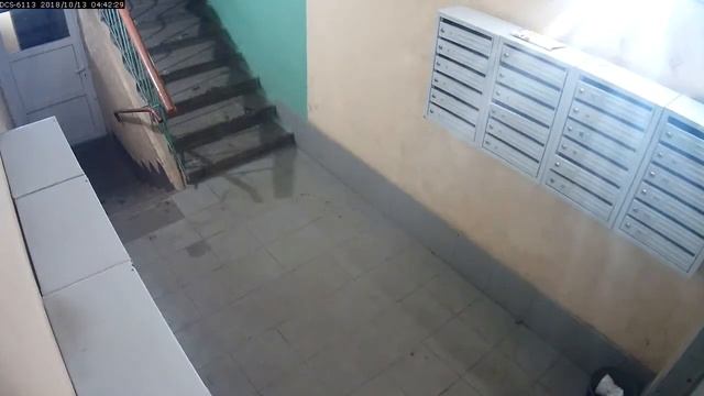 Покушение на убийство в Ухте, Коми смотреть онлайн