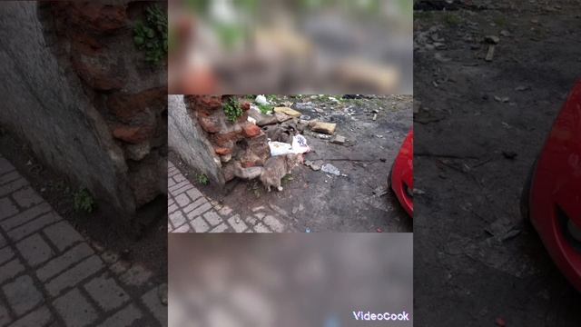 Исторические достопримечательности Стамбула и современность смотреть онлайн