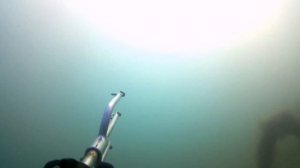 Подводная охота на Лабана Сочи 73км