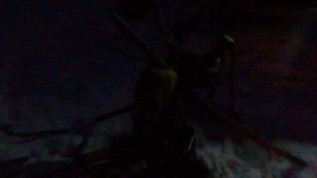 GEDC0008 нодья в режиме смотреть онлайн