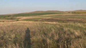 Охота на сурка оболочкой 308-го калибр, не многовато ли?