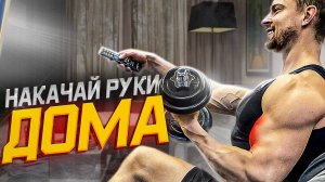 Как накачать руки с гантелями дома? | Упражнения на бицепс и трицепс, разбор техники и режима.