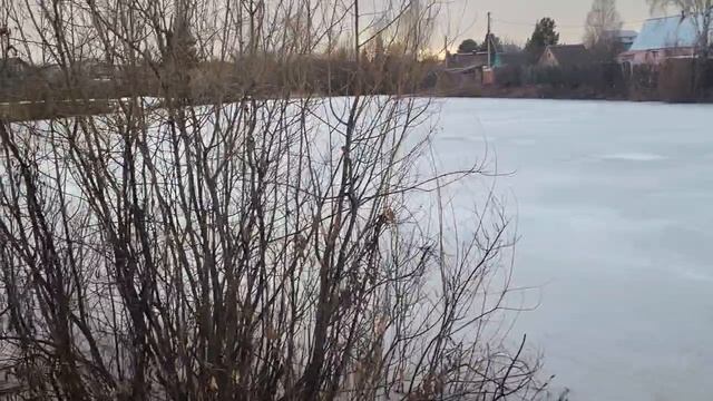 Обзор сада 12 апреля 2025 смотреть онлайн