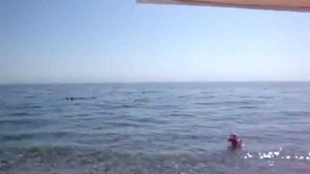 Astoria Hotel 4, Турция, Кемер Обзор пляжа смотреть онлайн