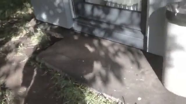 Стационарные торговые палатки смотреть онлайн