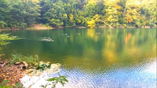 Красивые места в Польше. Jezioro Szmaragdowe - Szczecin. смотреть онлайн