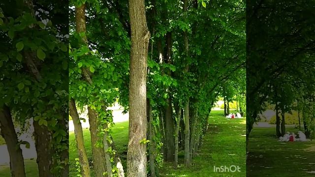 Вот и лето пришло!!! #путешествия #отдых #беларусь смотреть онлайн