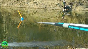 ЗАКИНУЛ и ПОПЛАВОК УШЕЛ.. Клюет на каждом забросе. Рыбалка на поплавок и фидер весной.