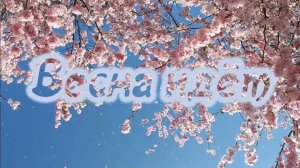 Футаж Весенний   Весна Идёт