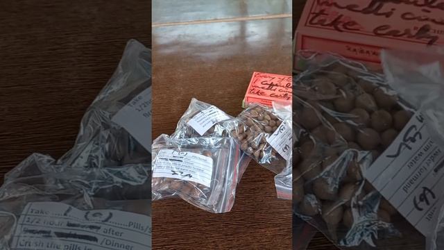 Дхарамкот, отчёт по тибетской медицине, маленький хаски. смотреть онлайн