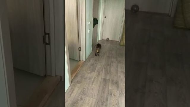 Как надо открывать двери смотреть онлайн