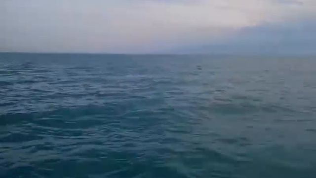 Лаура на Алаколе смотреть онлайн