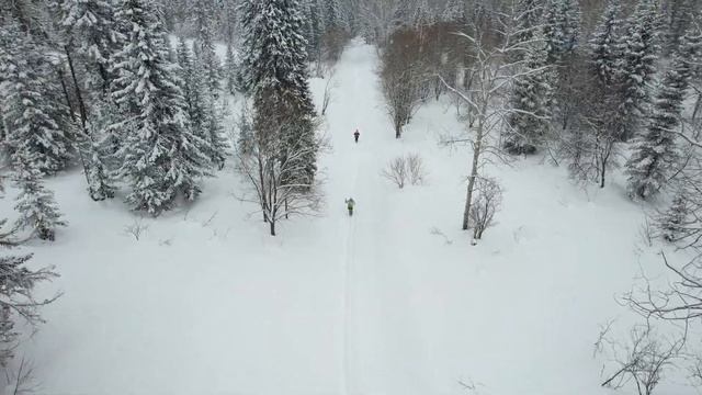 ПВД Зимовье смотреть онлайн