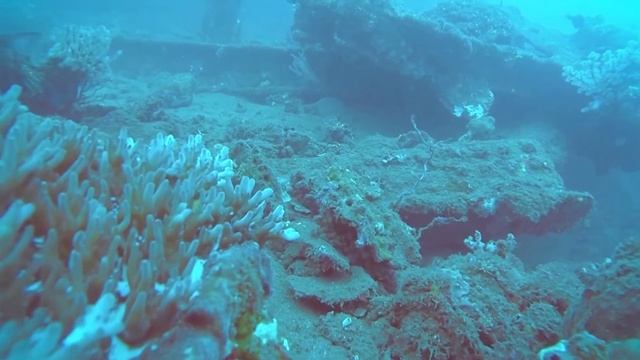 Tulamben Bali Underwater - Diving Between USAT Liberty Wreck Ship смотреть онлайн
