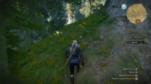 Ведьмачьи древности: снаряжение Школы Волка | Ведьмак 3 Дикая Охота