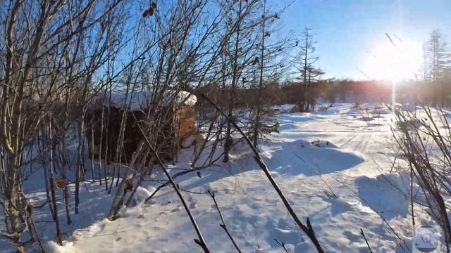 Бесщеточная аккумуляторная цепная мини пила Paowafol Chainsaw смотреть онлайн