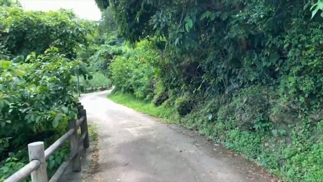 In Okinawa Really Beautiful Nature..  В Окинава есть реально красивый природных места.. { Japan }