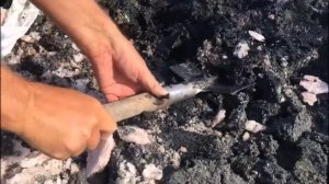 3-часть Путешествия по Крыму в 2021 году все дикие стоянки , с караваном, кемпером, палаткой, атодо