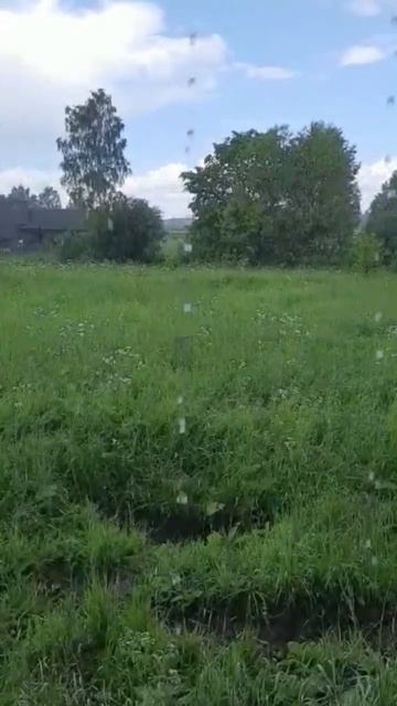 вот это капли! после дождя, вода стекла с крыши каплями смотреть онлайн