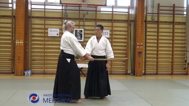 15 Aikido Tachidori Ikkyo Omote, Shishiya Sensei Malmö 2015