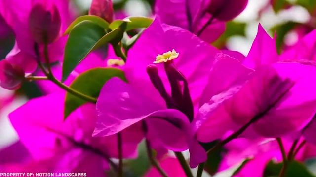 КЫРГЫЗСТАН САМЫЕ КРАСИВЫЕ МЕСТА смотреть онлайн