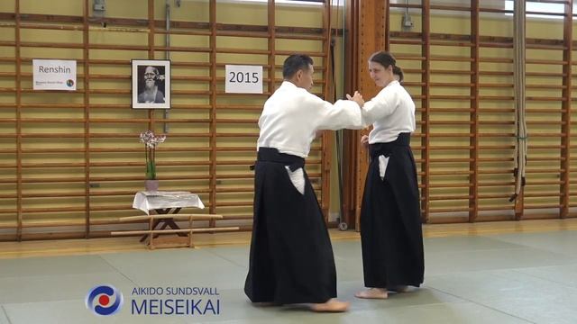 11 Aikido Katadorimenuchi Nikyo Torite, Shishiya Sensei Malmö 2015