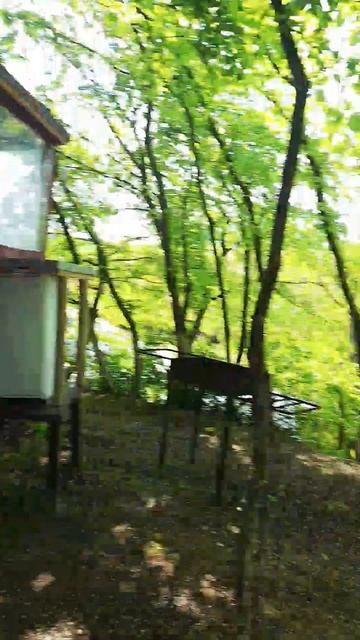 зона отдыха Анапа смотреть онлайн