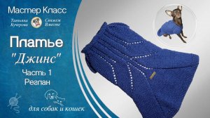 Как связать Летнее платье спицами для собак и кошек, Часть 1, реглан